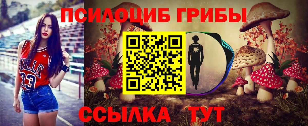 Псилоцибиновые грибы прущие грибы  Вход с VPN  Лянтор 